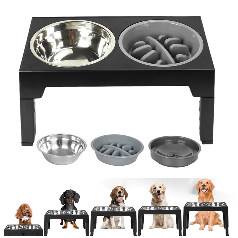 Elevated Slow Dog Feeder for Dogs