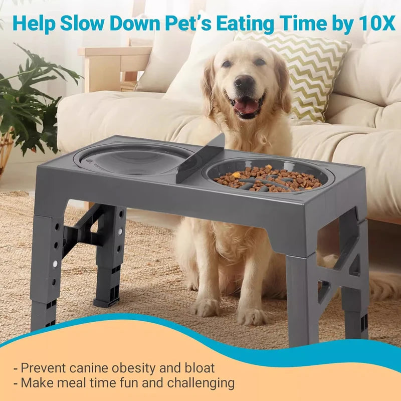Elevated Slow Dog Feeder for Controlled Eating
