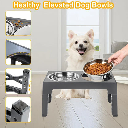 Elevated Slow Dog Feeder for Controlled Eating