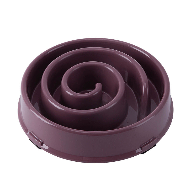 Anti-Slip Anti-Choking Pet Feeder Slow Feeding Bowl