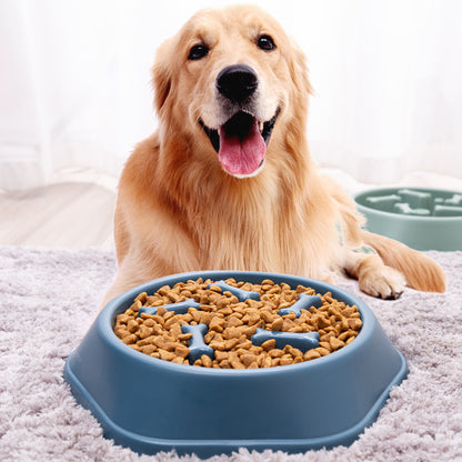 Slow Feeder Dog Bowl for Controlled Eating