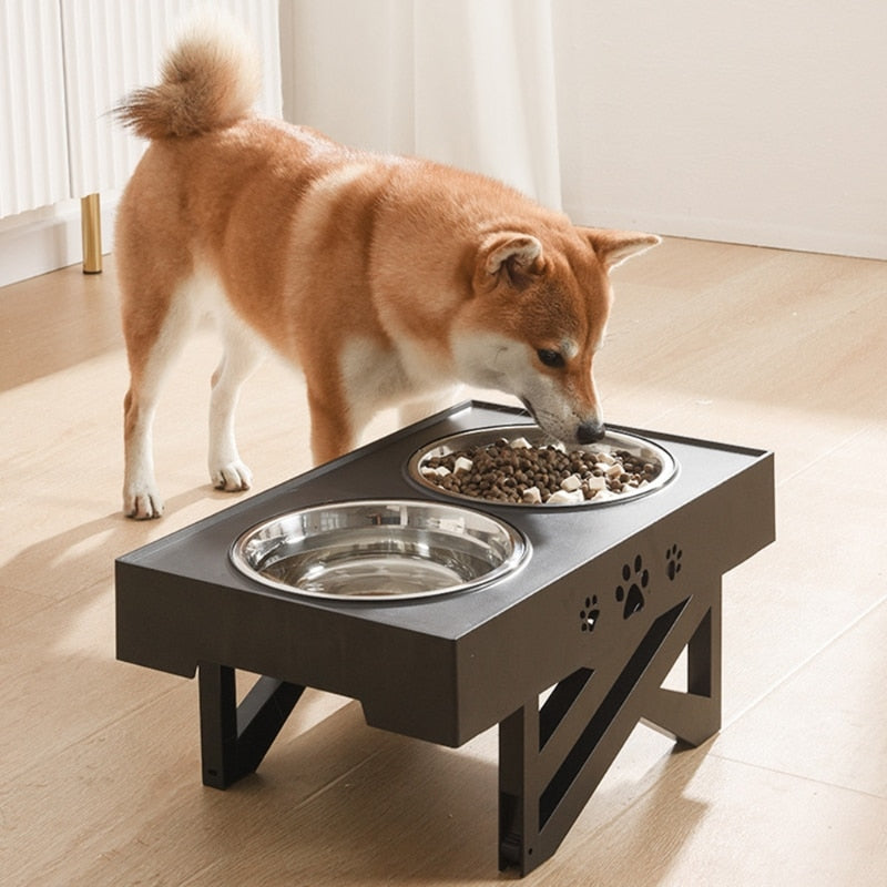 Elevated Double Dog Bowls