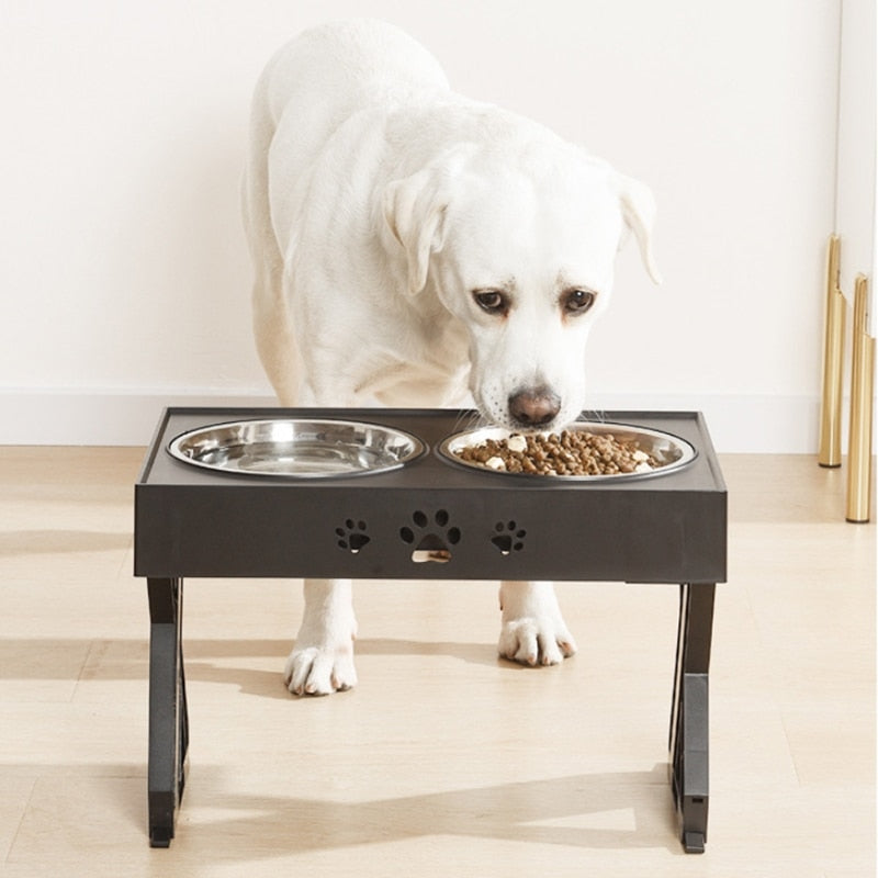 Elevated Double Dog Bowls