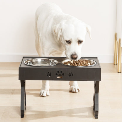 Elevated Double Dog Bowls for Food and Water