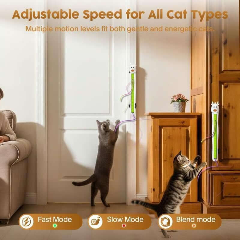 Auto Motion Flying Rope Cat Toy for Indoor Cats