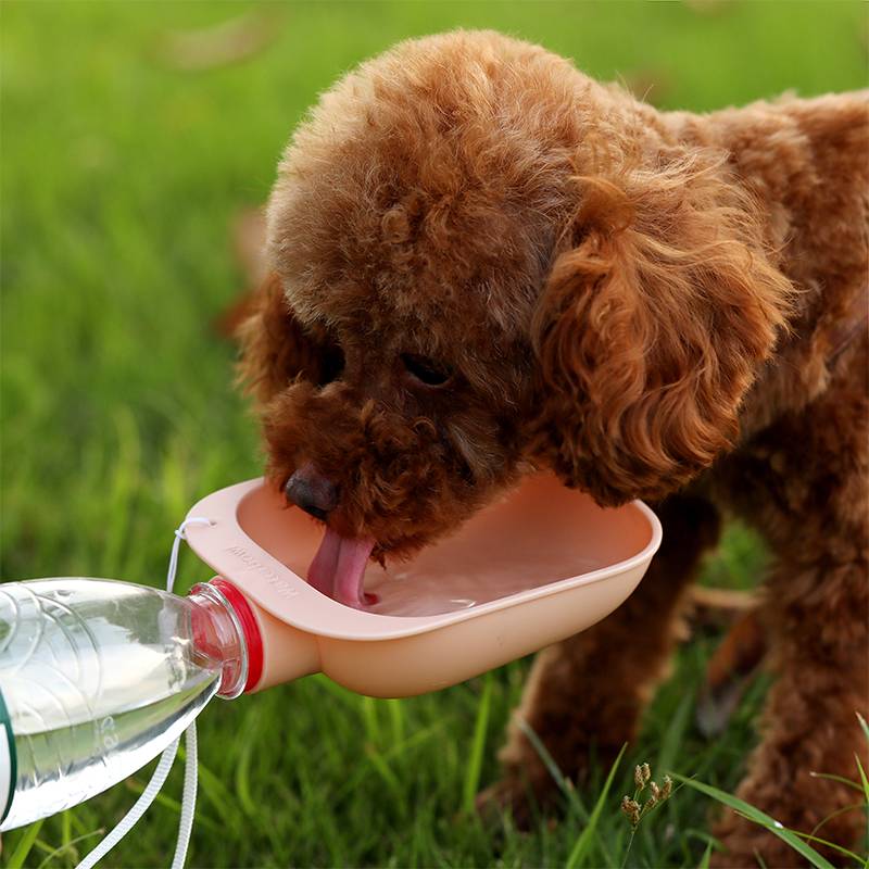 Portable drinking fountain