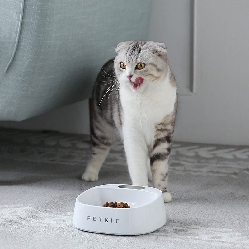 Smart Weighing Dog Bowl