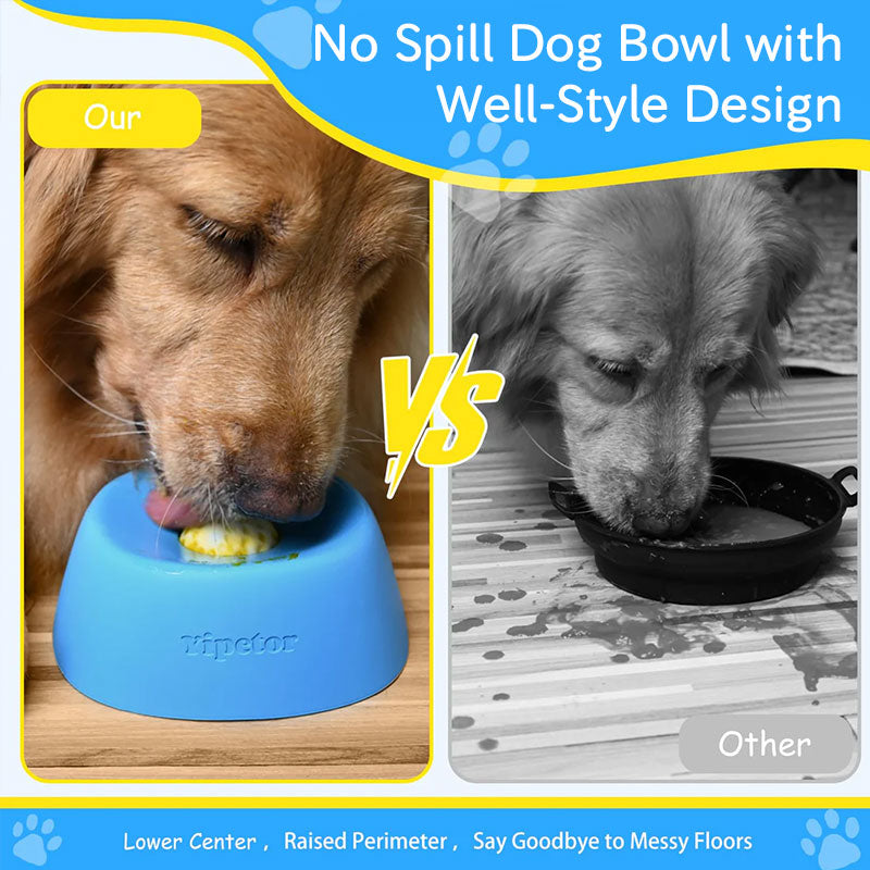 Anti-Choke Slow Feeder Dog Bowl & Lick Mat