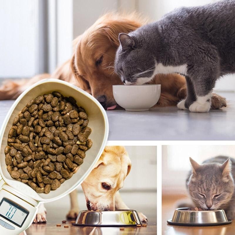 Pet Food Measuring Spoon