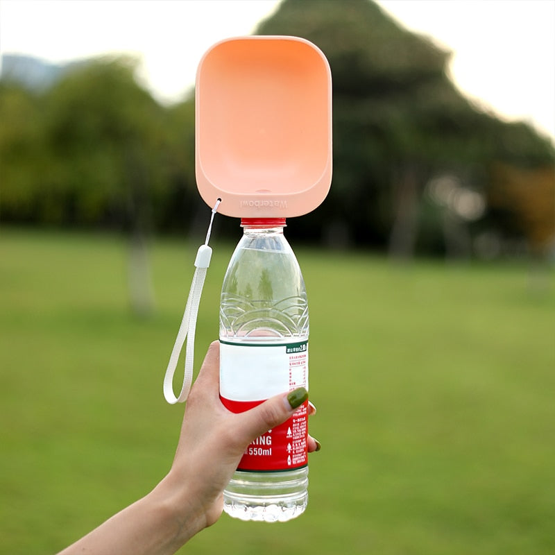 Portable drinking fountain
