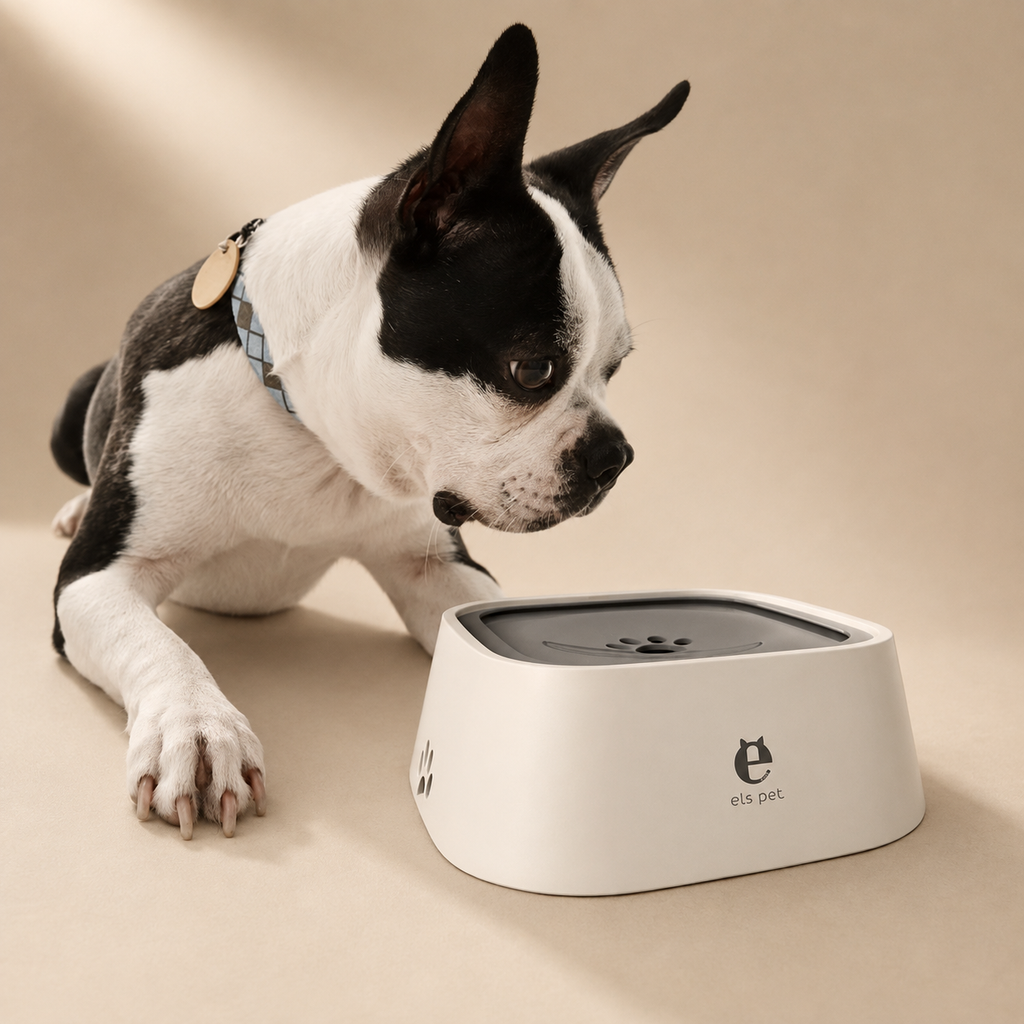 No Splash Pet Water Bowl