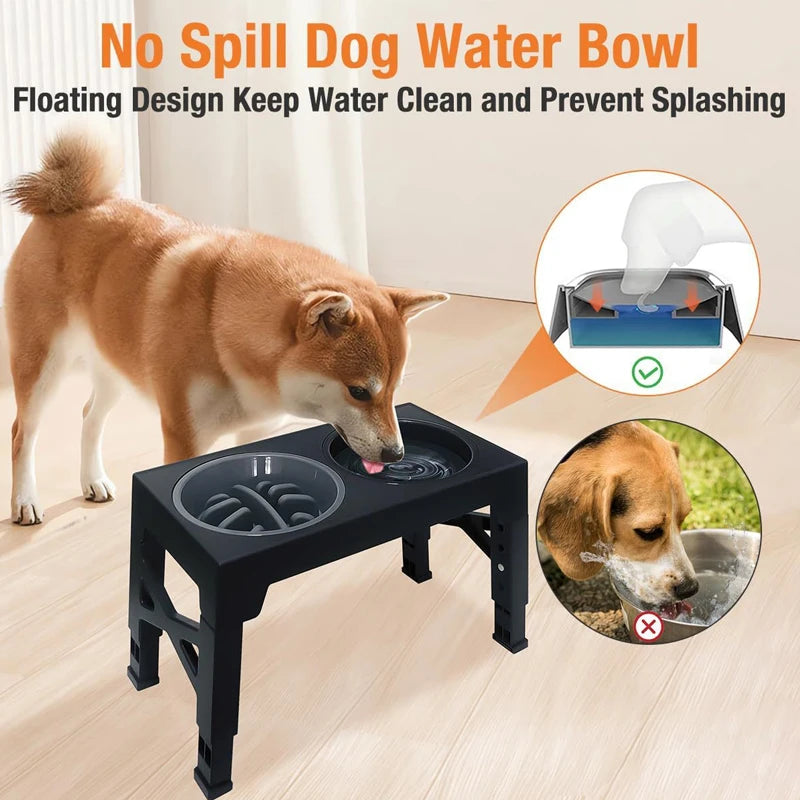 Elevated Slow Dog Feeder for Controlled Eating