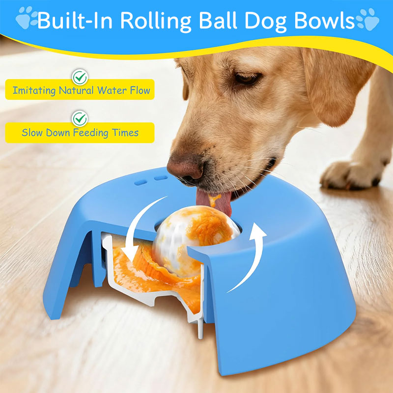 Anti-Choke Slow Feeder Dog Bowl & Lick Mat