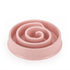 Anti-Slip Anti-Choking Pet Feeder for Dogs