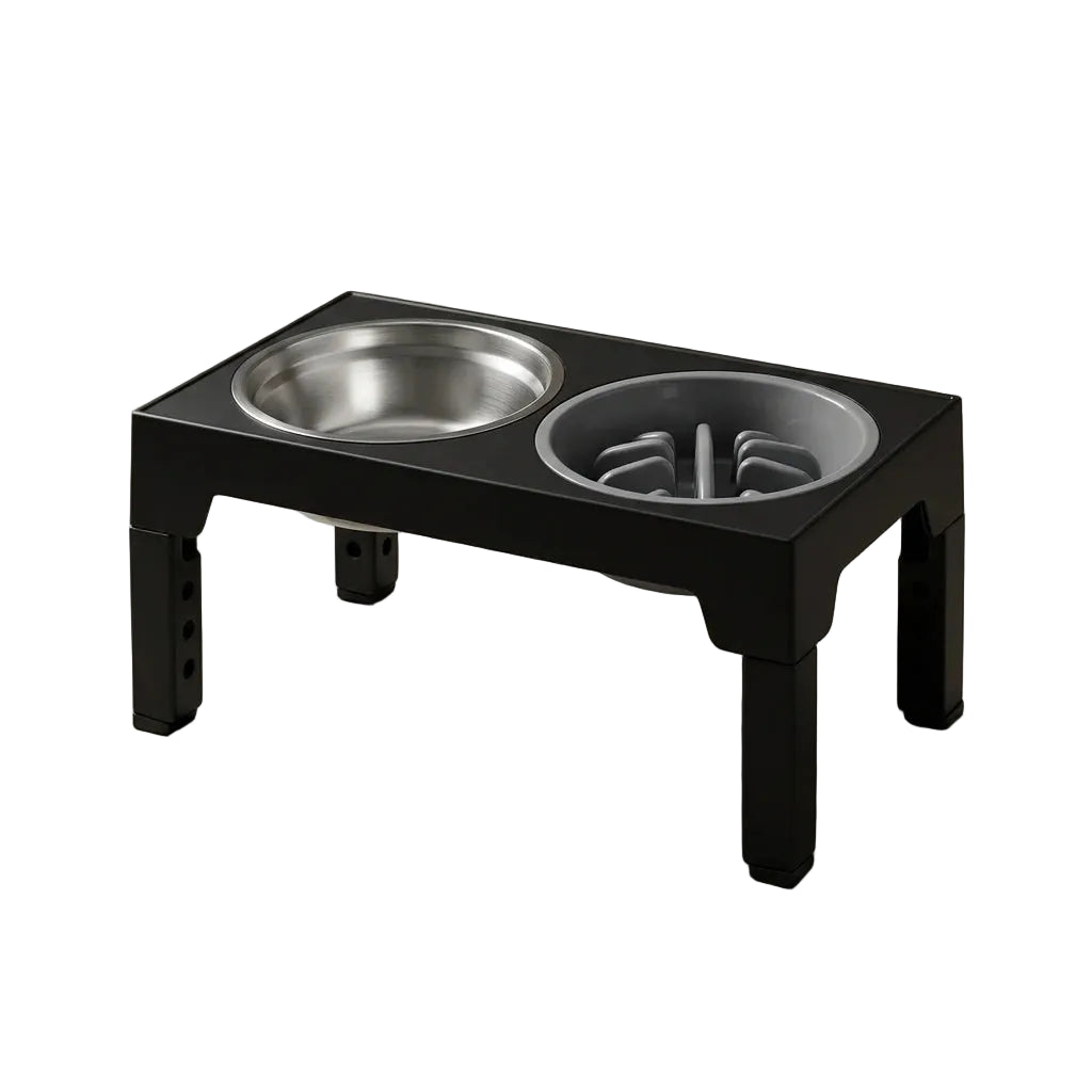 Elevated Slow Dog Feeder for Dogs