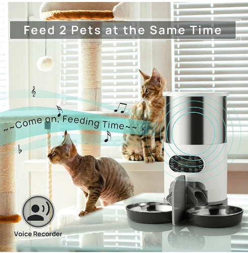 Smart Stainless Steel Double Feeder