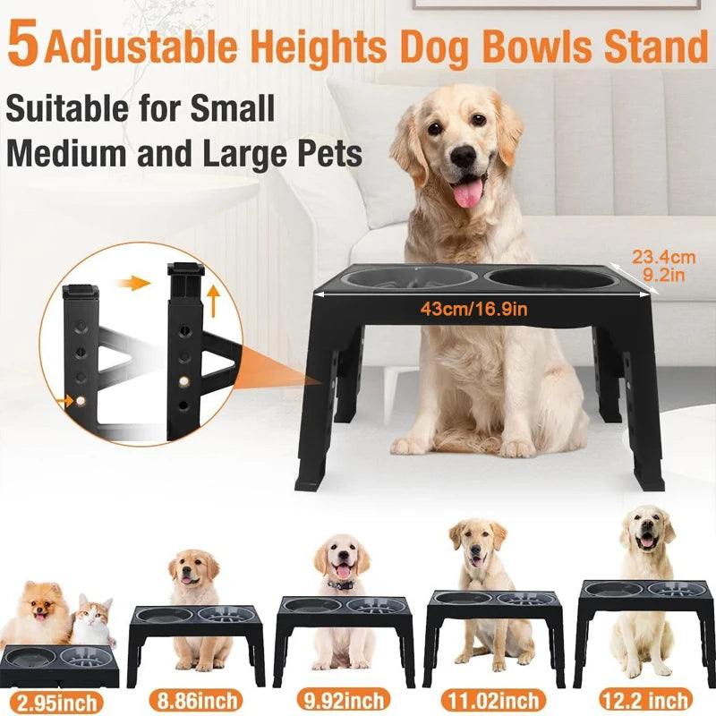 Elevated Slow Dog Feeder for Controlled Eating