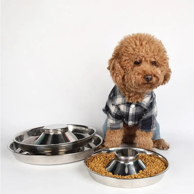 Weaning Silver Stainless Feeder